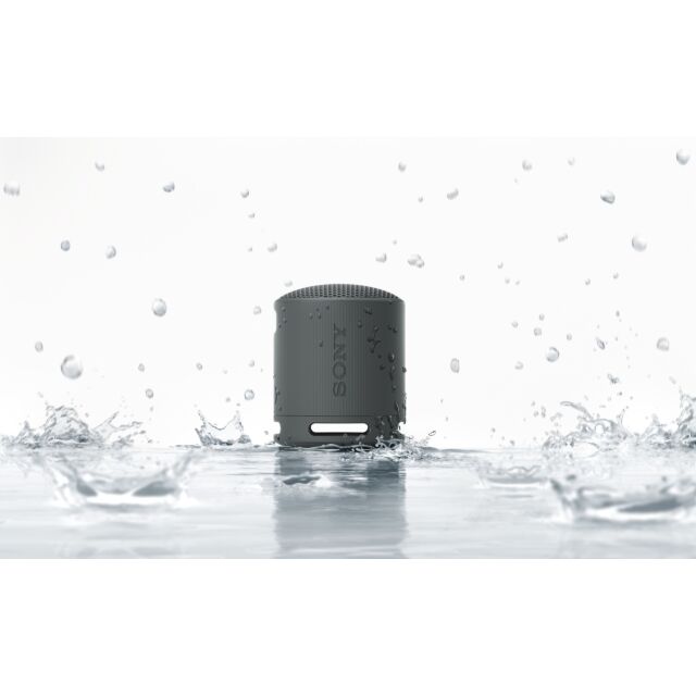 Sony SRSXB100B_CE7 Compact Bluetooth Wireless Speaker Black